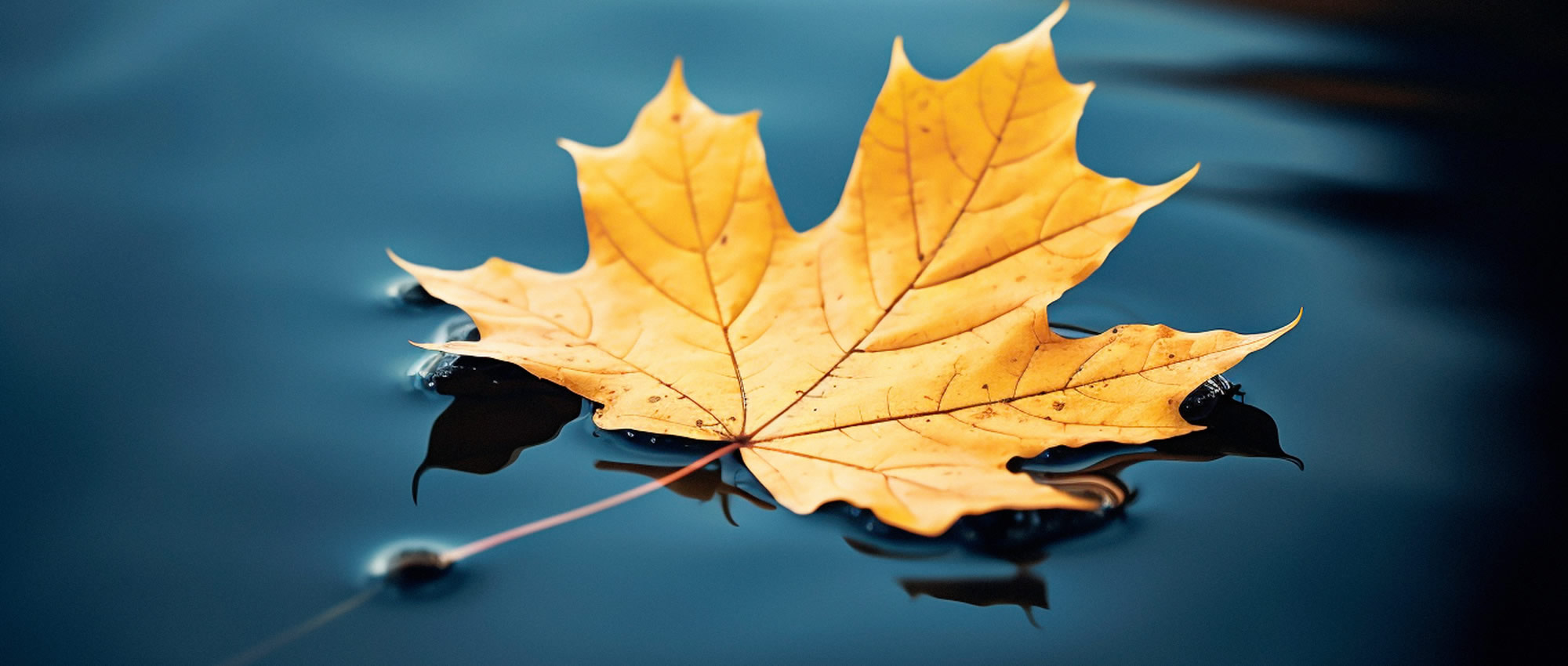 Pulse Of The Blogosphere